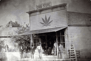 Kansas cannabis history