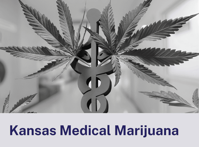 Kansas Medical.png